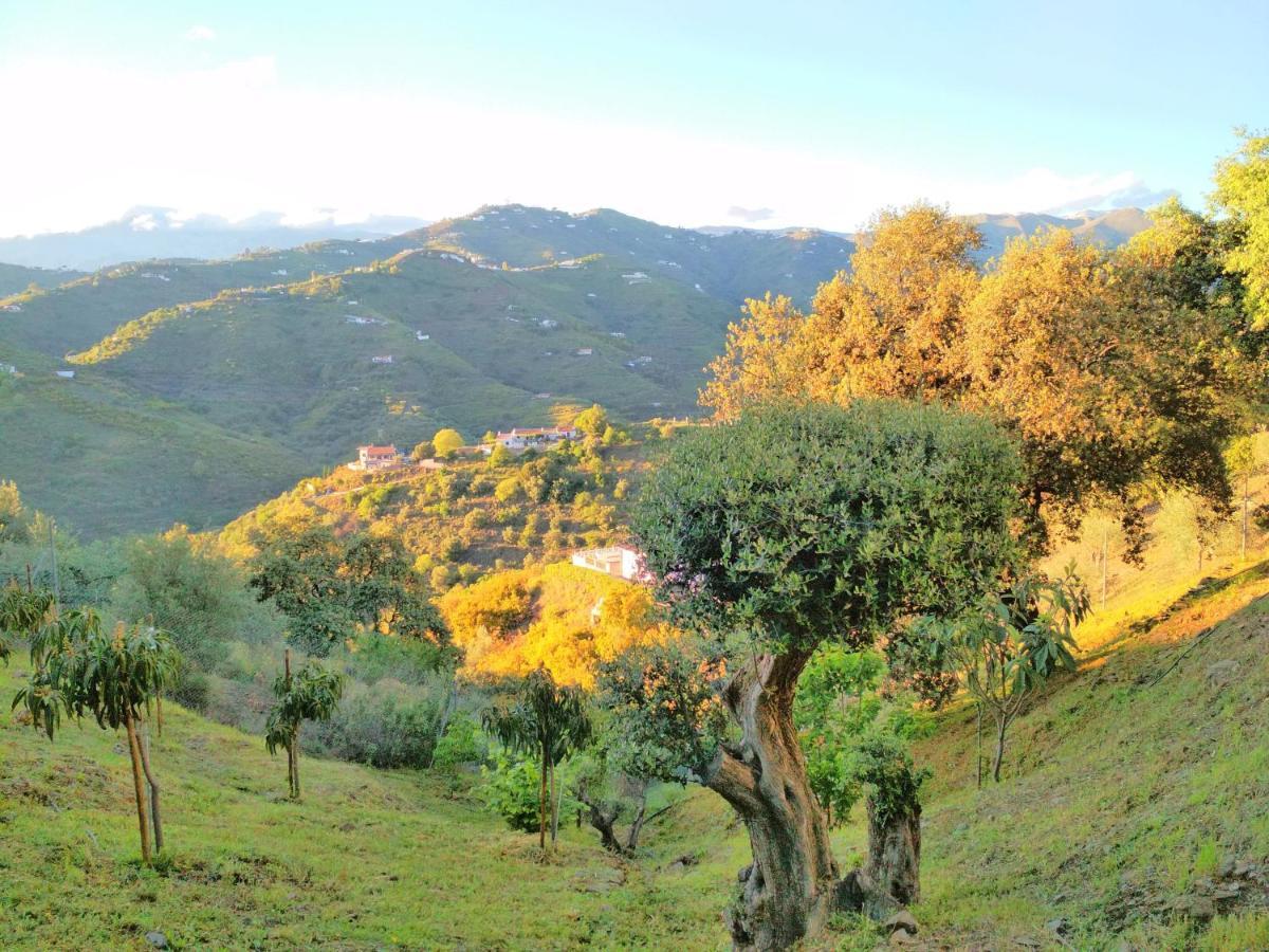 Villa Las Encinas Costa Del Sol Torrox Dış mekan fotoğraf