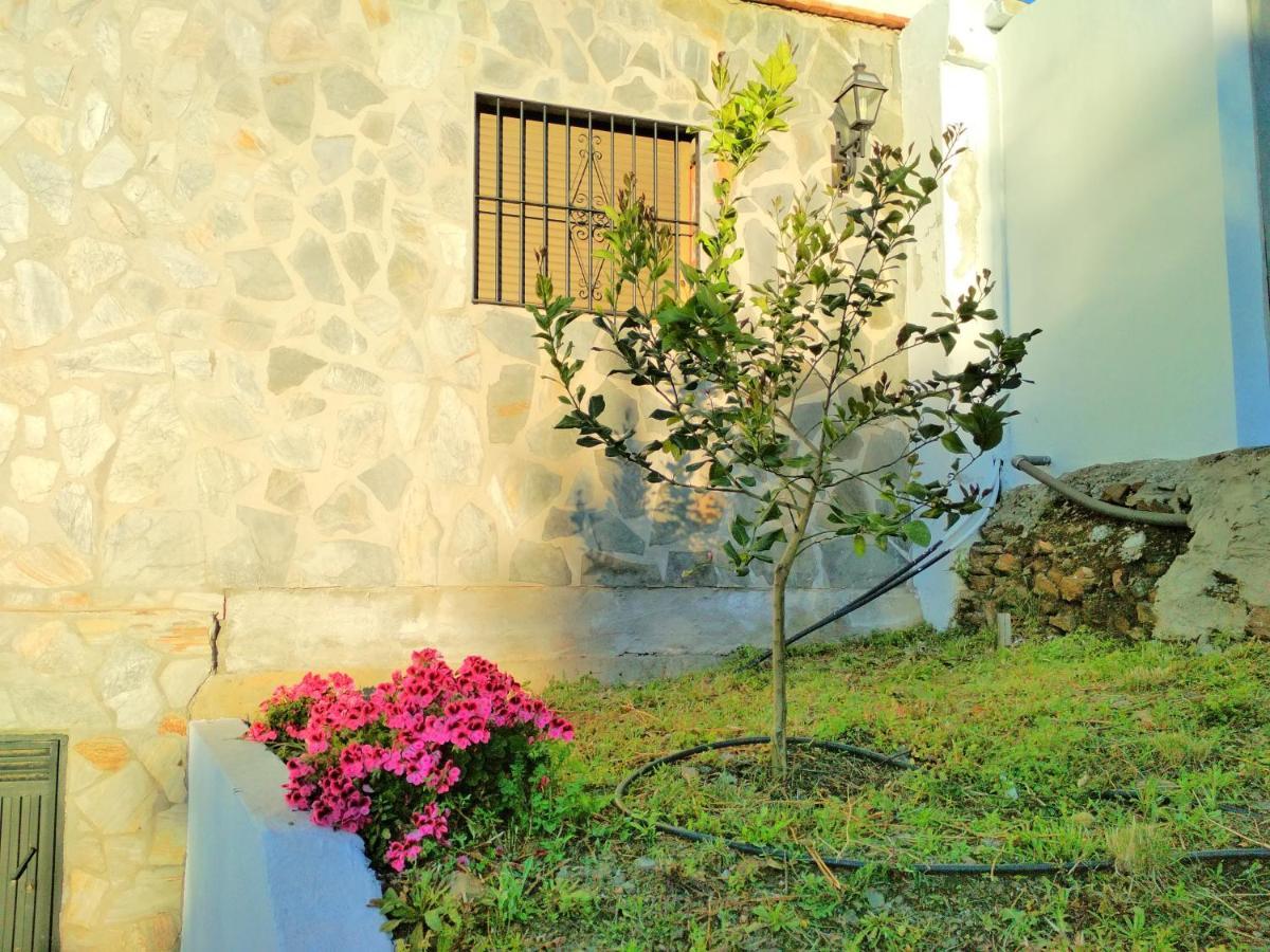 Villa Las Encinas Costa Del Sol Torrox Dış mekan fotoğraf