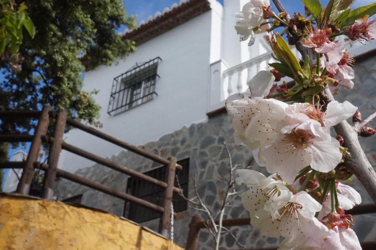 Villa Las Encinas Costa Del Sol Torrox Dış mekan fotoğraf